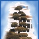 오량초등학교 이미지