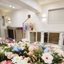 도그미용실 이미지