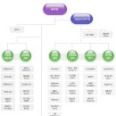 보건행정과정론 (개별보고서) 이미지