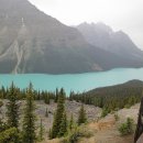 (명)스카이여행사 이미지