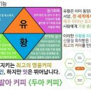 카페두아