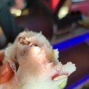 아마이펜션 | 1박2일 속초여행코스 속초역 속초시립박물관 맛집 미가