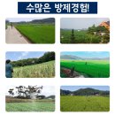 지에스지 이미지