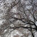 인형천국 이미지