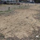 동키캐슬 캠핑장 이미지