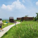 배곧한울공원 이미지