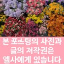 주안8동주민센터 | 인천 가볼만한곳-칼국수 미학(주차,점심맛집,혼밥하기 좋은집)