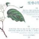 신호건강원