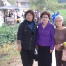 안동체육관 이미지