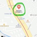 황금코다리 화도점