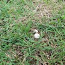 새봄목장 이미지