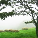 복지목장 이미지