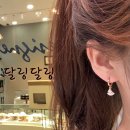 달링달링 - 평택시 만세로 1845-4 | 달링달링