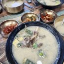 추부낚시 | 갑자기 떠난 대전 만인산 자연휴양림~