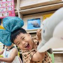 💙Catch the ocean animals&amp;Phonics practice&amp;Reading the story book💙 이미지