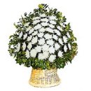 단월우체국 이미지