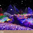 시에르 풀빌라 이미지