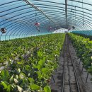 아람유통 이미지