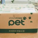 멍잇츄 | 선물받은 잇츄 엄마도 먹어 보았음. (소량 나눔합니다)