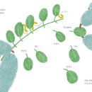 작은 곰 이야기 이미지