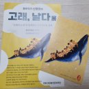 고래날다 | 홍천미술관 신정민 개인전 <고래, 날다> 관람 후기
