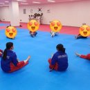 스포렉스 태권도 이미지