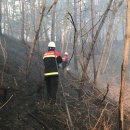 발화 경로당 이미지