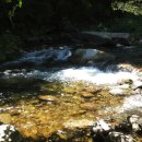 방화동자연휴양림 이미지