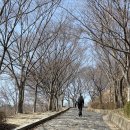 영인면 아산온천로 | [충남 아산시] “영인산” 등산 / 3월 21일 등산 후기