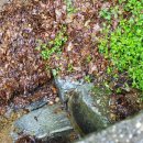 잿골체육공원 이미지