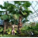 무주곤충박물관 이미지