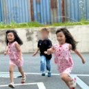무궁화미용실 네이버블로그