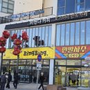 부산광역시 수영구 광안해변로 153   (광안동) 브릿지호텔 앞 | [부산 수영] 부산여행 필수코스 광안리 광안대교 뷰...맛집 '비엔나커피 광안리점' 내돈내산 후기