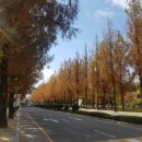 도시공원 행정사사무소 이미지