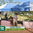 영천상회 이미지