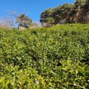 청석골농장 이미지