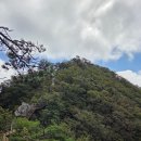 금수산
