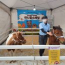 김해분청도자기 축제 | 김해 분청 도자기축제 솔직후기