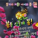 🌸 3월을 시작하며 '마음의 인사를 전합니다' 🌸 이미지