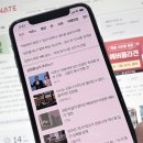 네이트 이미지