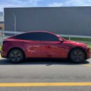 신내오토카 | 테슬라 모델Y, 패밀리카로 딱! 여유 공간부터 오토파일럿까지 탈탈 털어보기