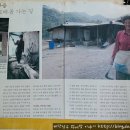 거북이민박 이미지