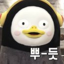 오늘참치 이미지