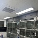 우리집동물병원 이미지