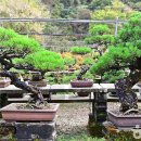 순창향 관광농원 오토캠핑장 이미지