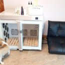 퍼피프렌즈 이미지