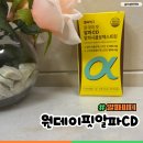 알파 컴퍼니 | 알파씨디효능 헬씨허그 원데이핏 알파CD 후기