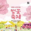 벚꽃 서울신문