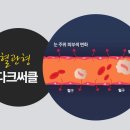 노노메디칼 이미지