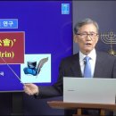 성경의 어휘 연구] 80. '공회 이미지